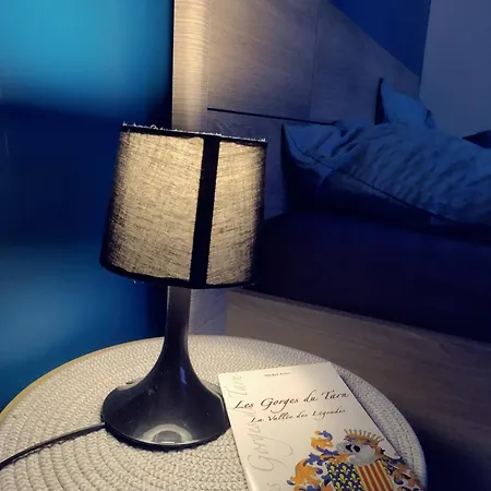 L'appart Centre-ville - ミヨー