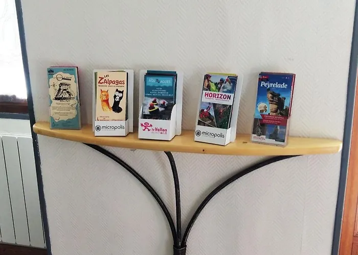 L'appart Centre-ville - Appartement Millau