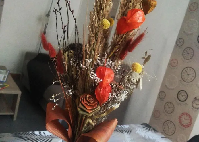 Apartment L'appart Centre-ville - Millau